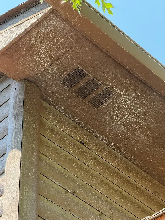 Go-Forth Pest Control Picture 7