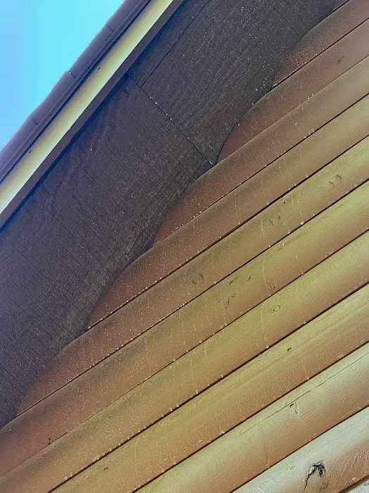 Go-Forth Pest Control Picture 3