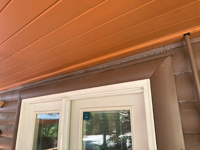 Go-Forth Pest Control Picture 5