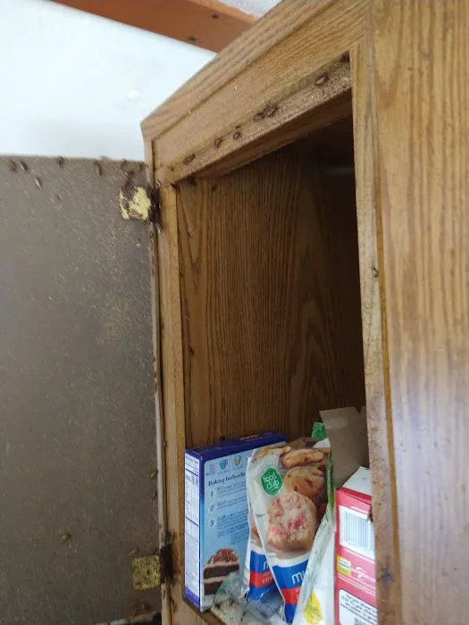 Bugs R Us Pest Control Picture 10
