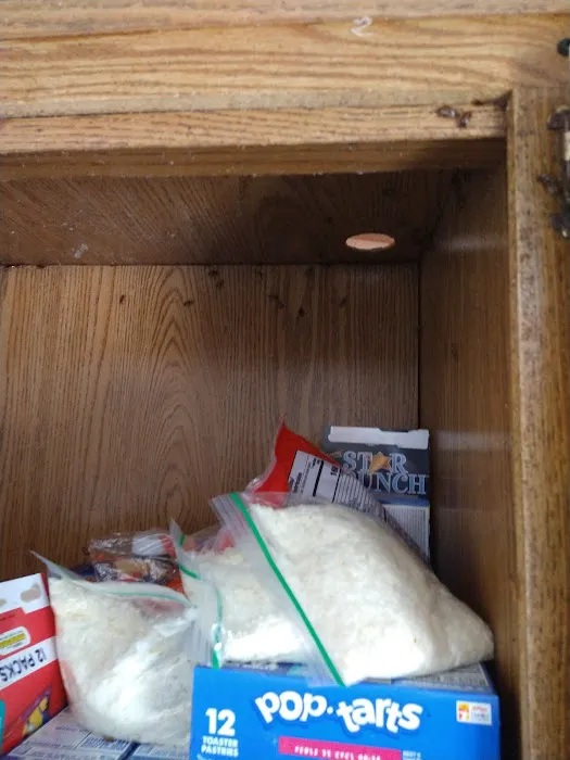 Bugs R Us Pest Control Picture 9
