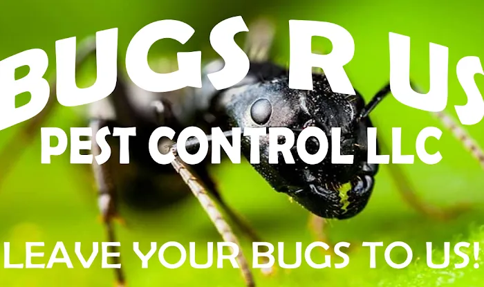 Bugs R Us Pest Control Picture 5