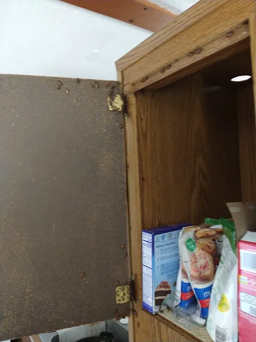 Bugs R Us Pest Control Picture 4