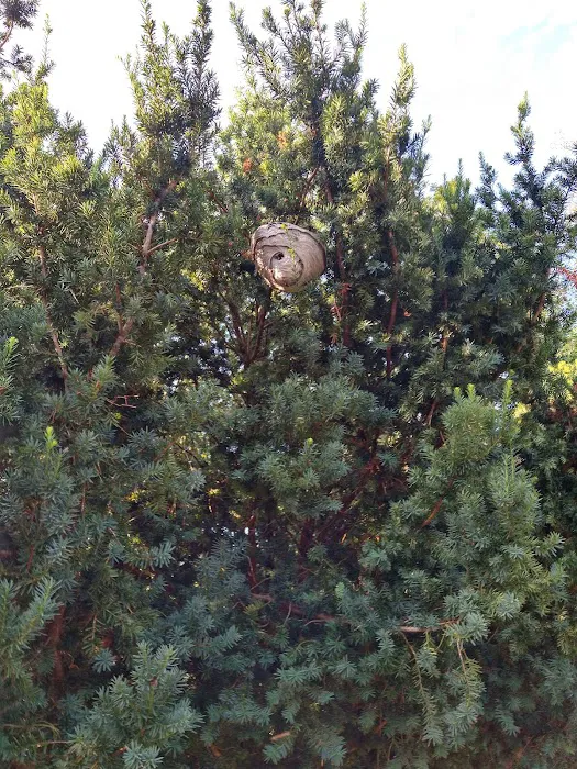 Bugs R Us Pest Control Picture 3