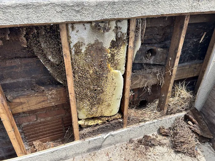 Foothills Bee Company Picture 8