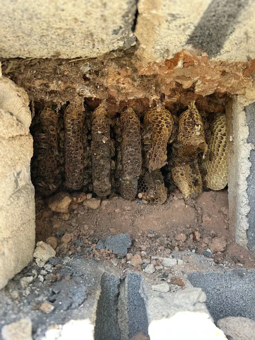 Foothills Bee Company Picture 7
