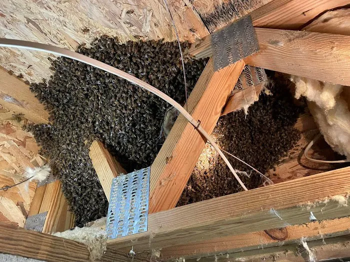 Foothills Bee Company Picture 1