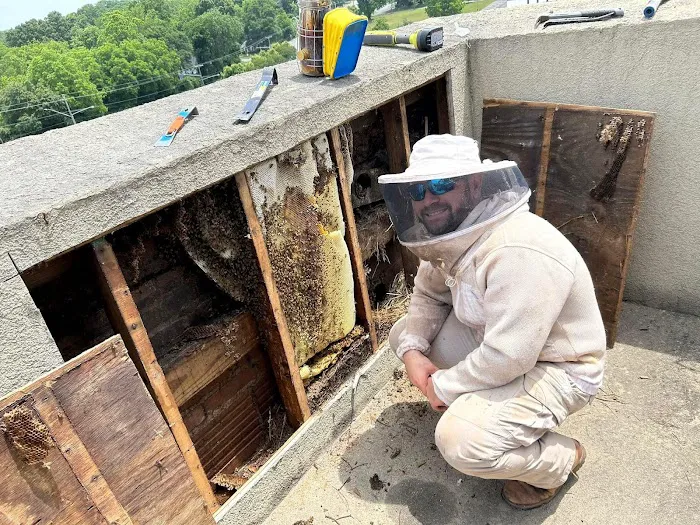 Foothills Bee Company Picture 5