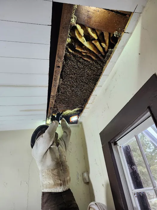 Foothills Bee Company Picture 4