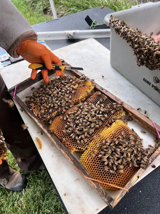 Foothills Bee Company Picture 2