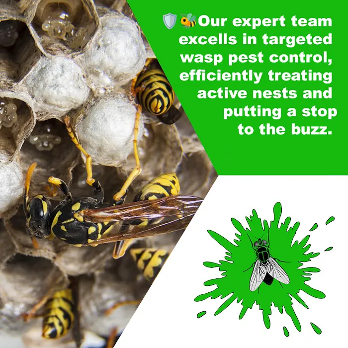 Catchy Pest Solutions Picture 3