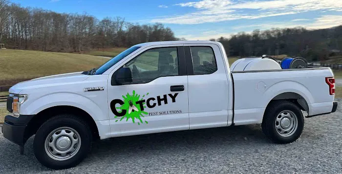 Catchy Pest Solutions Picture 4