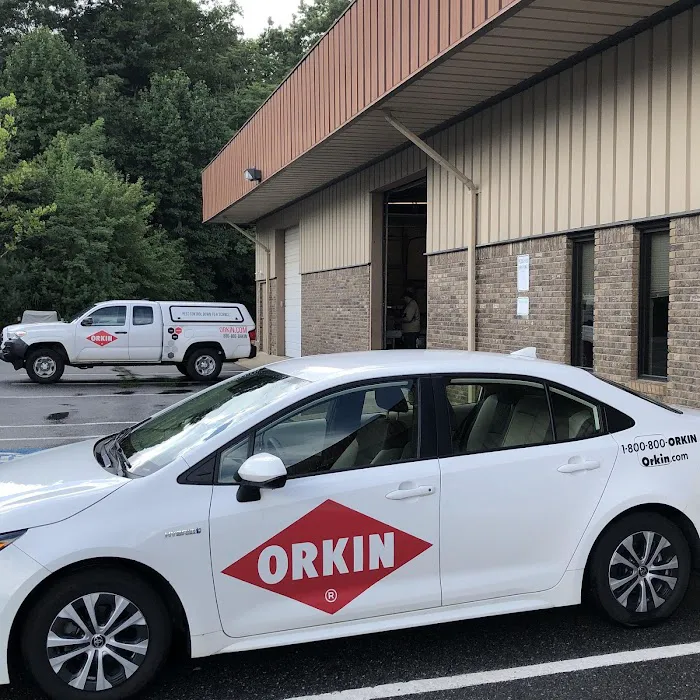 Orkin Picture 9