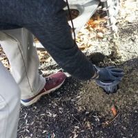 Gibson Pest Control ico
