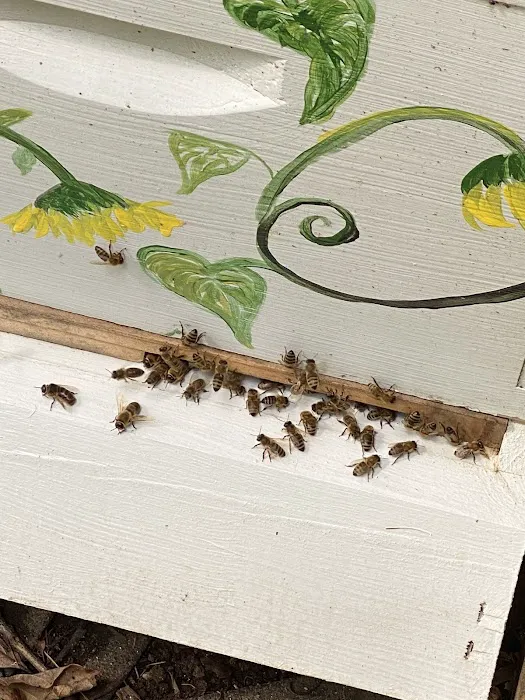 Pisgah Pest Control Inc - Hendersonville Picture 10