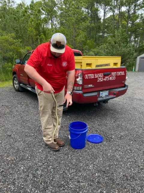 Outer Banks Pest Control Picture 1