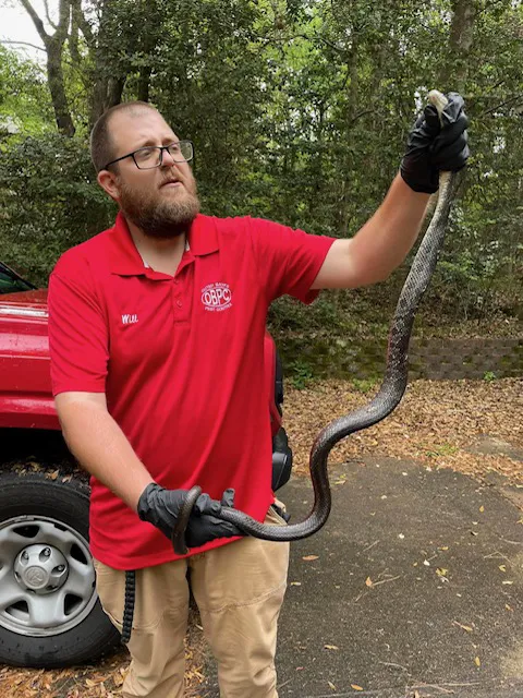 Outer Banks Pest Control Picture 10