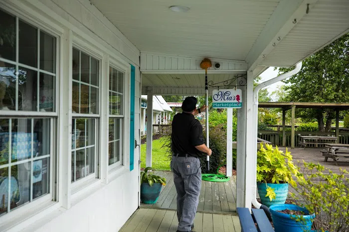 Go-Forth Pest Control Picture 9