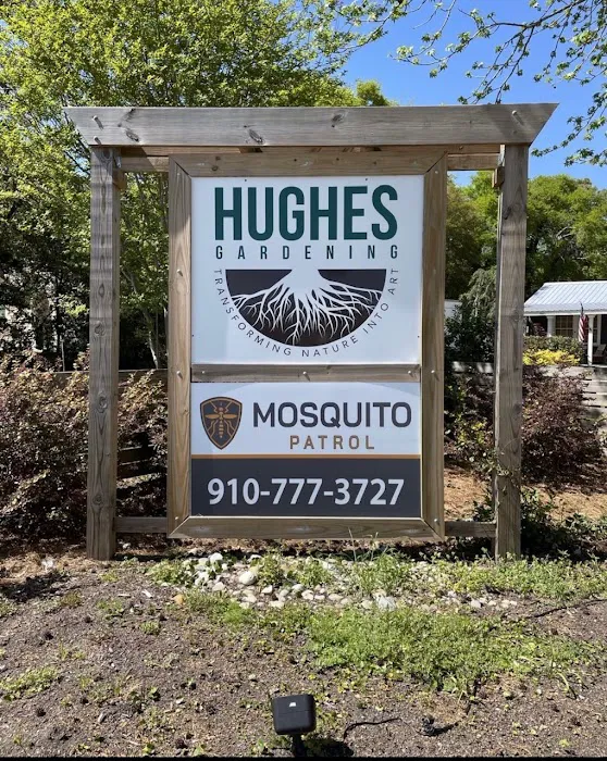 Mosquito Patrol Picture 1