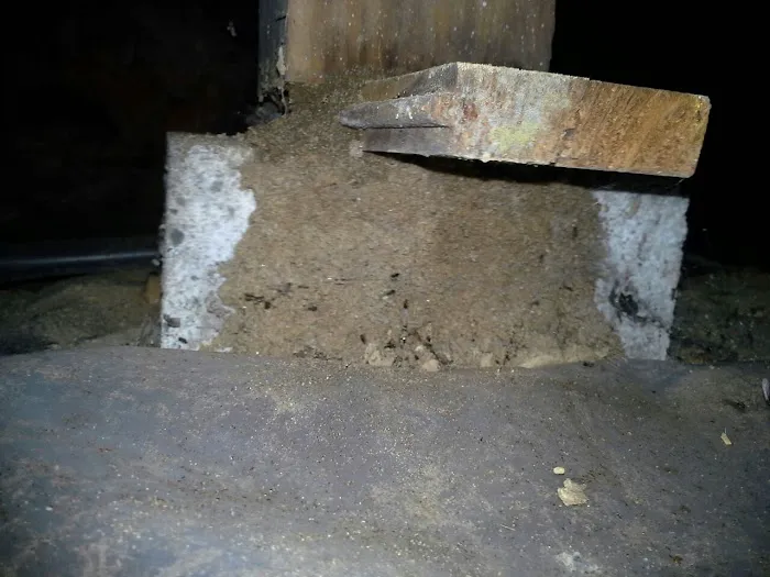 Bug-N-A-Rug Exterminators Picture 3