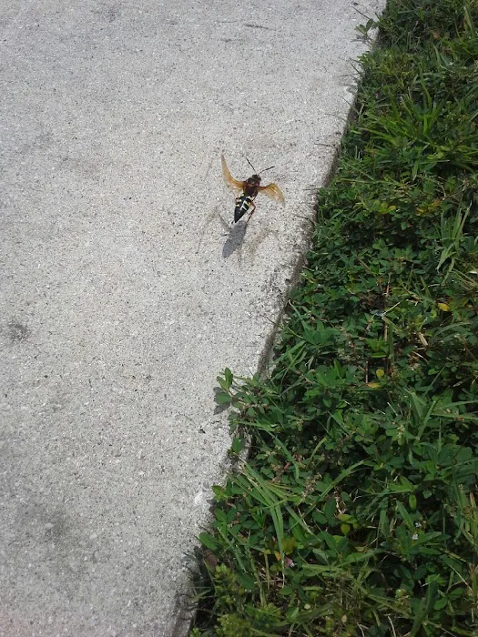 Bug-N-A-Rug Exterminators Picture 9