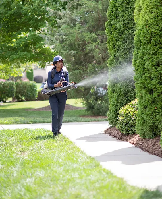 Rocket Pest Control Picture 8