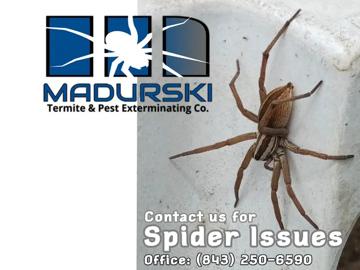 Madurski Termite & Pest Exterminating Co. Picture 9