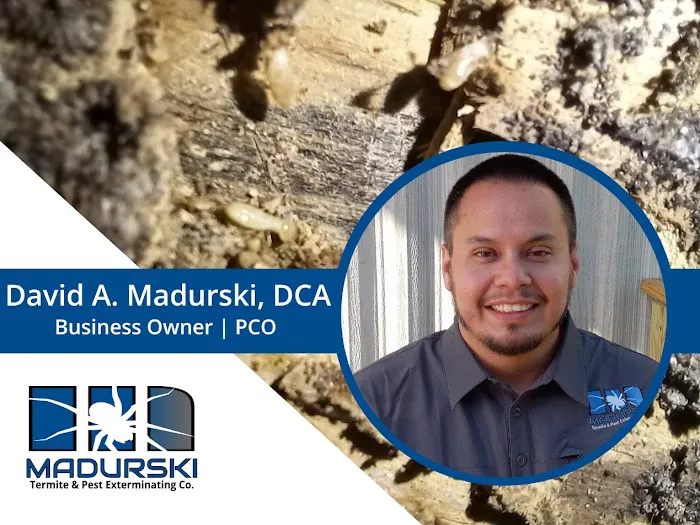 Madurski Termite & Pest Exterminating Co. Picture 6