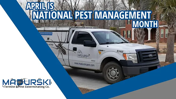 Madurski Termite & Pest Exterminating Co. Picture 1