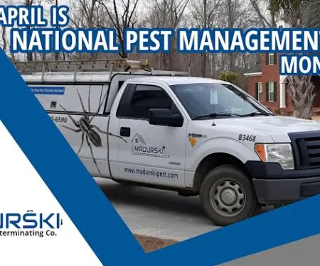 Madurski Termite & Pest Exterminating Co.