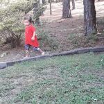 Canady's Termite/Pest Control