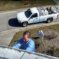 Carolina Pest Management - Rockingham ico