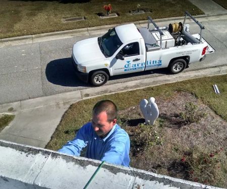 Carolina Pest Management - Rockingham