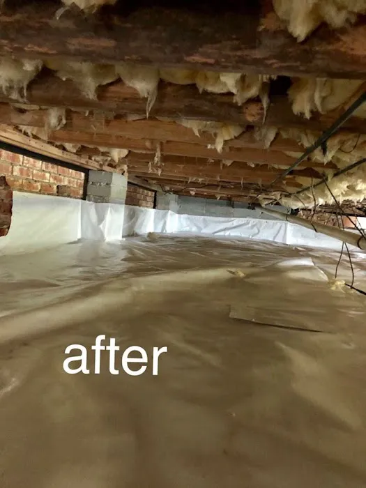 Sharpe Pest Services Picture 10