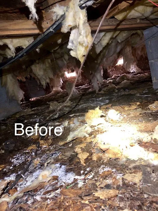 Sharpe Pest Services Picture 2