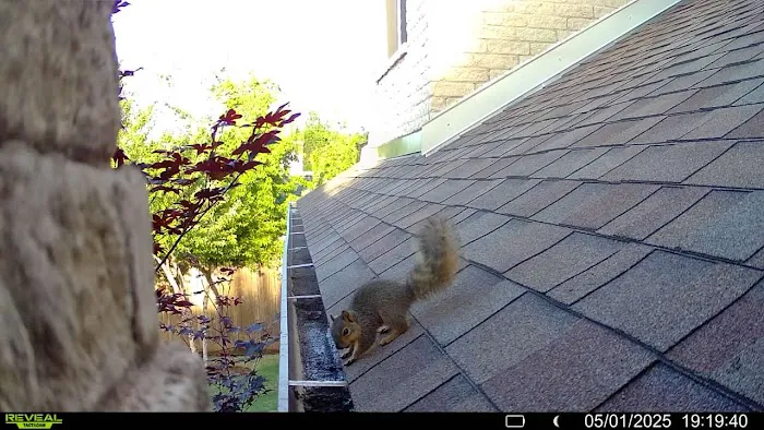 Critter Stop Picture 4