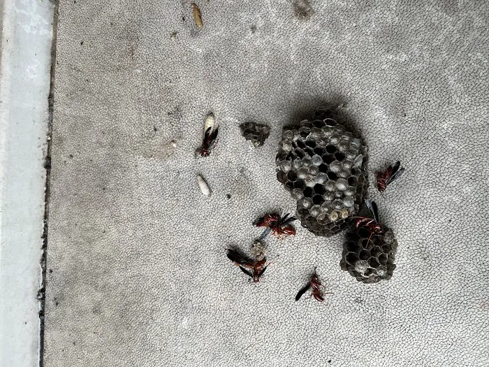 Critter Stop Picture 10