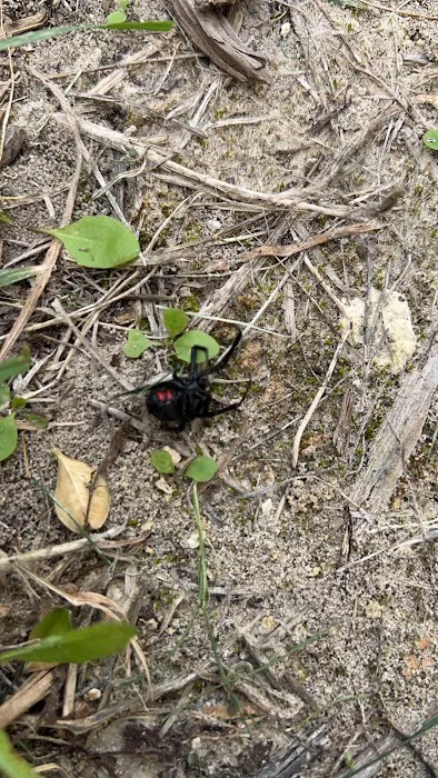Critter Stop Picture 9