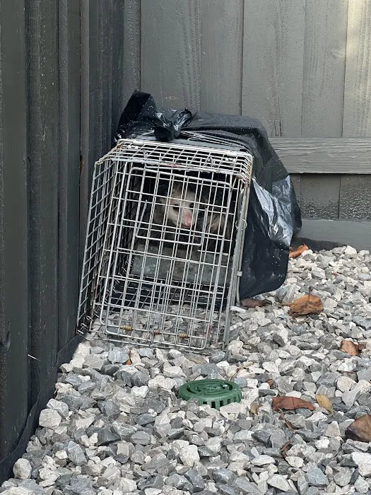 Critter Stop Picture 1