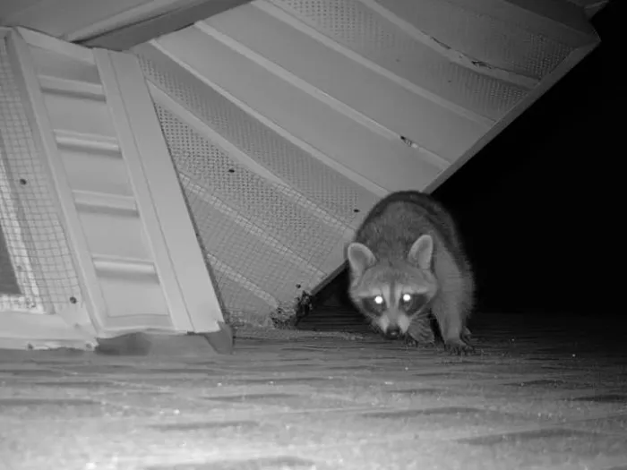 Critter Stop Picture 5
