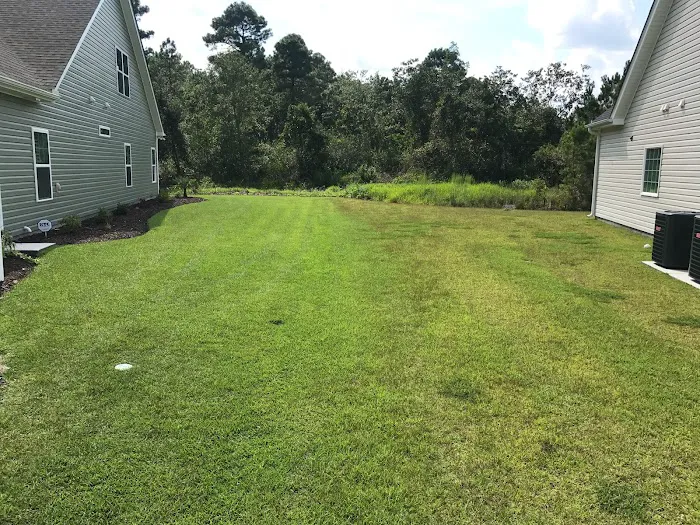 Turf Medic Picture 6