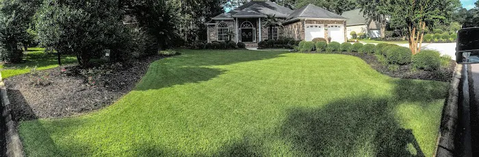 Turf Medic Picture 3