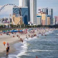 Eco Bed Bug Grand Strand ico