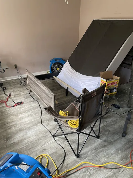 Eco Bed Bug Grand Strand Picture 5