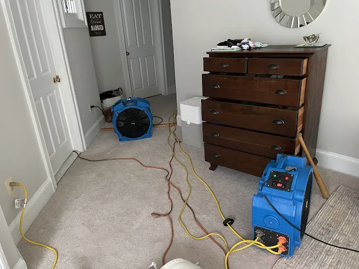 Eco Bed Bug Grand Strand Picture 8