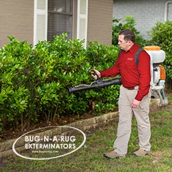 Bug-N-A-Rug Exterminators Picture 10