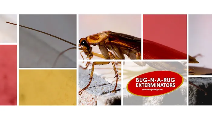 Bug-N-A-Rug Exterminators Picture 7