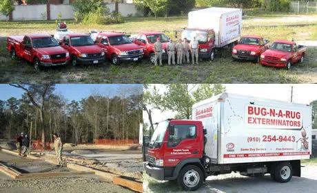 Bug-N-A-Rug Exterminators Picture 5