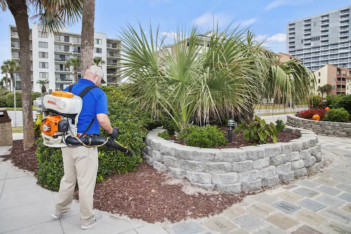 Beach Pest Service Picture 9