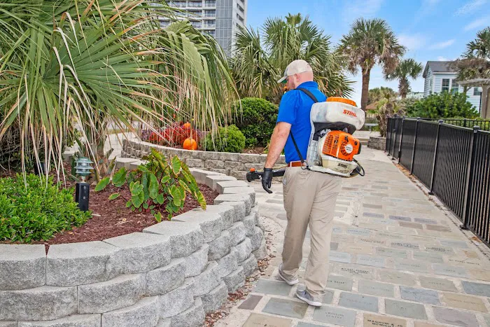 Beach Pest Service Picture 5